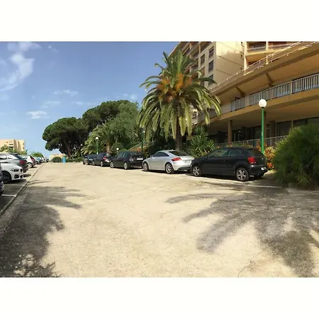 T2 Terrasse Vue - Route Des Sanguinaires *